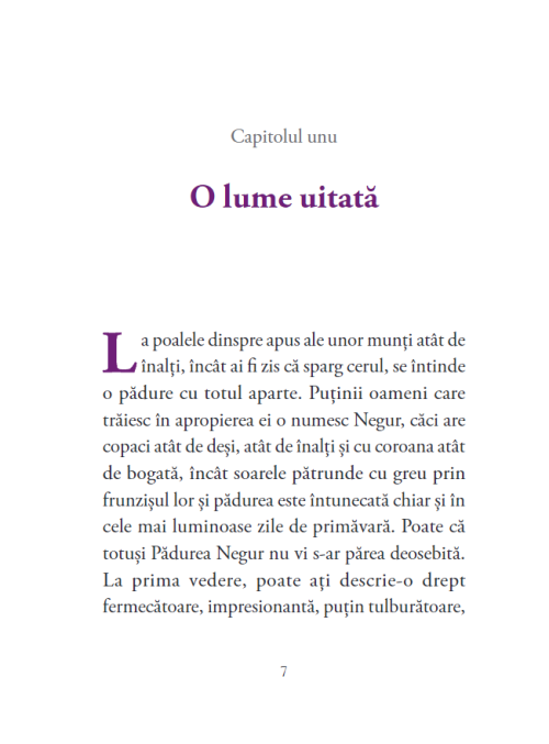 Invatatorii de Grija - Sanziana, fata Soarelui - Alex Donovici