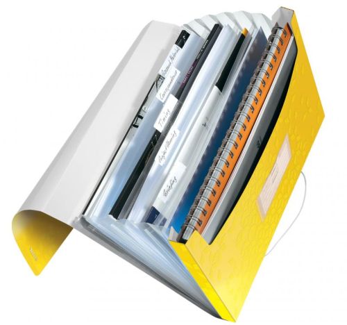 Mapa plastic 6 comp galben tip proiect wow leitz 45890016