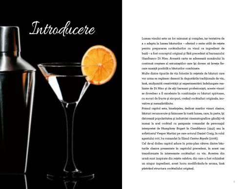 Cocktailuri cu vin - Gianfranco Di Niso