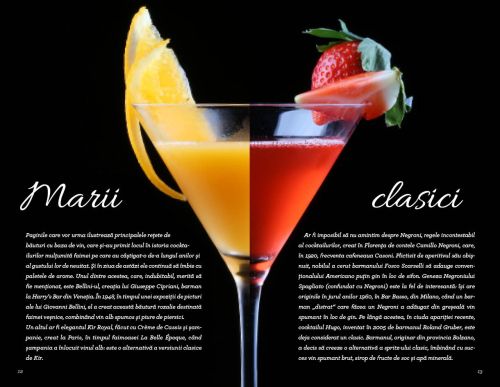 Cocktailuri cu vin - Gianfranco Di Niso
