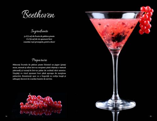 Cocktailuri cu vin - Gianfranco Di Niso