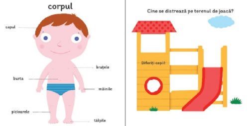 Corpul