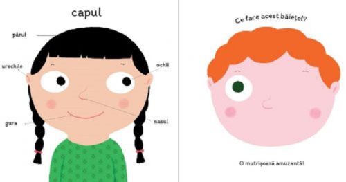 Corpul