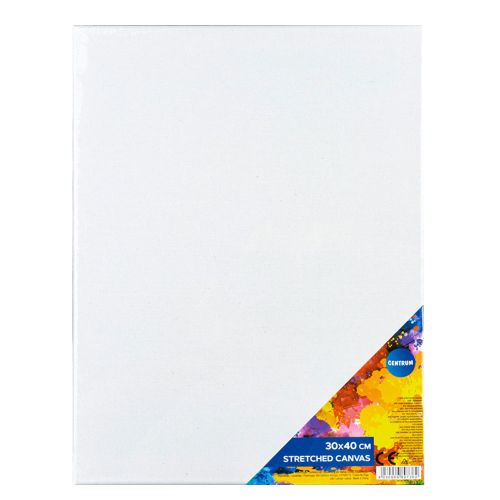 Canvas dimensiune 30x40cm pe sasiu de lemn 320g/m 89736